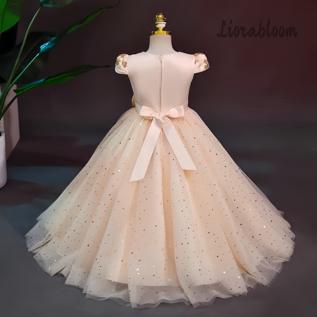 Formal Multicolor Evening Gown - Women'S Formal Wear For Girls recension och pris