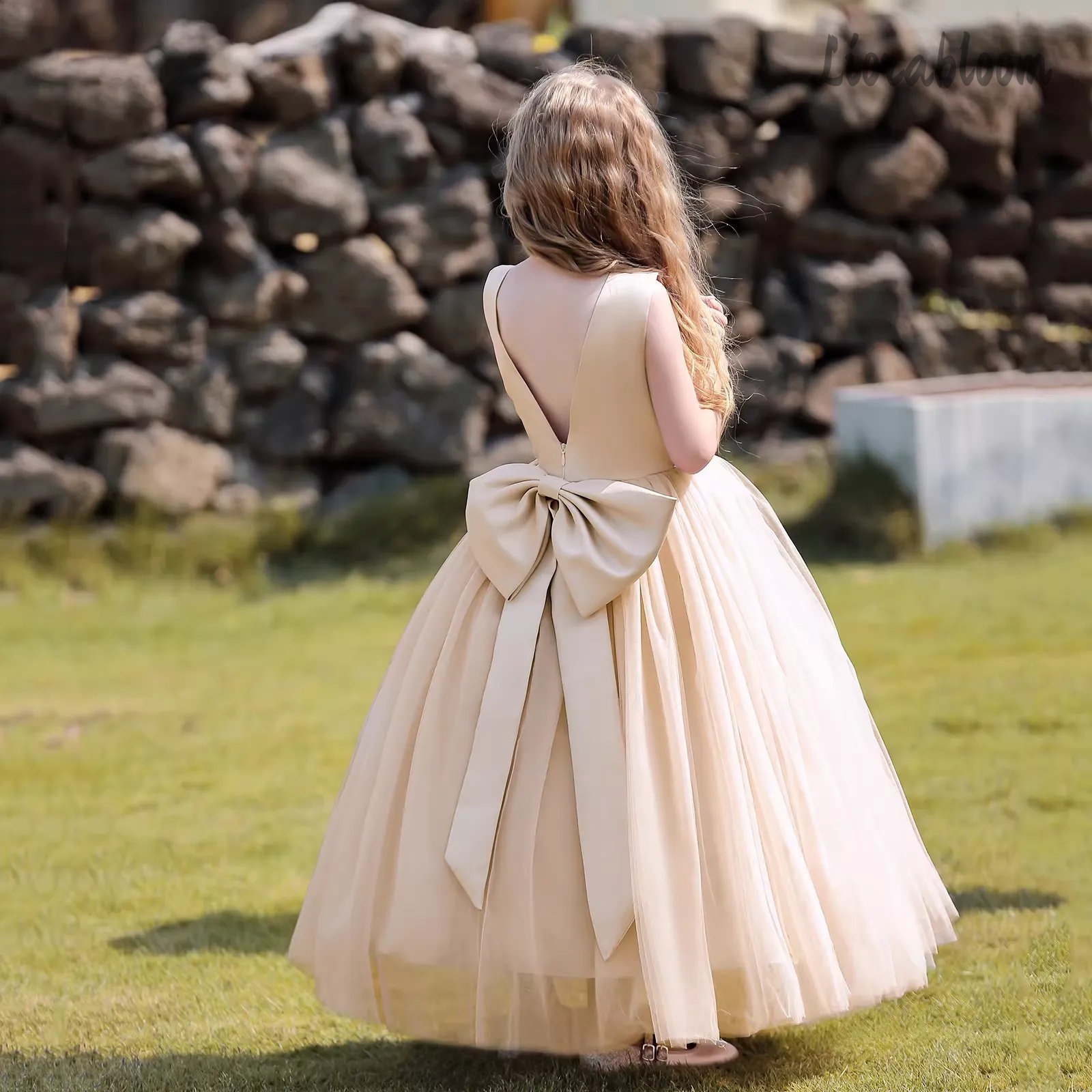 Multicolor Backless Princess D - Women'S Formal Wear For Girls recension och pris